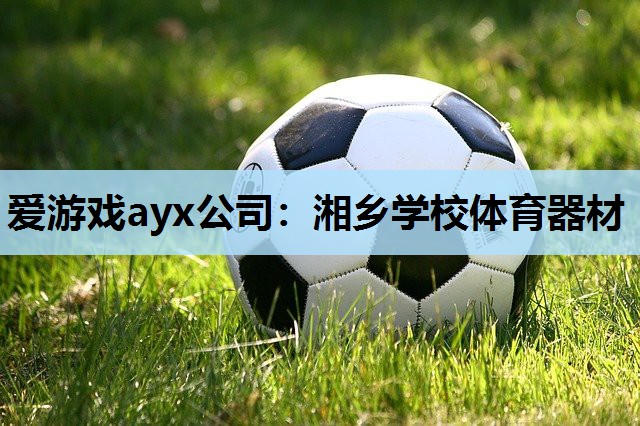 爱游戏ayx公司：湘乡学校体育器材