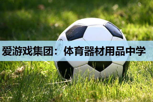 爱游戏集团：体育器材用品中学
