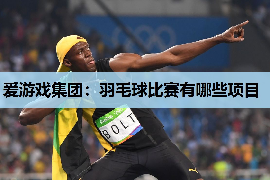 爱游戏集团：羽毛球比赛有哪些项目
