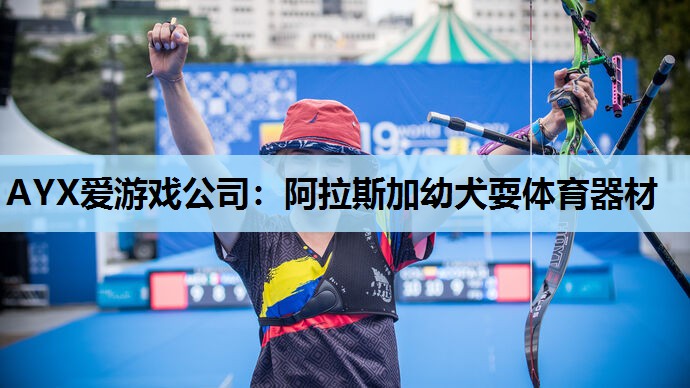 AYX爱游戏公司：阿拉斯加幼犬耍体育器材