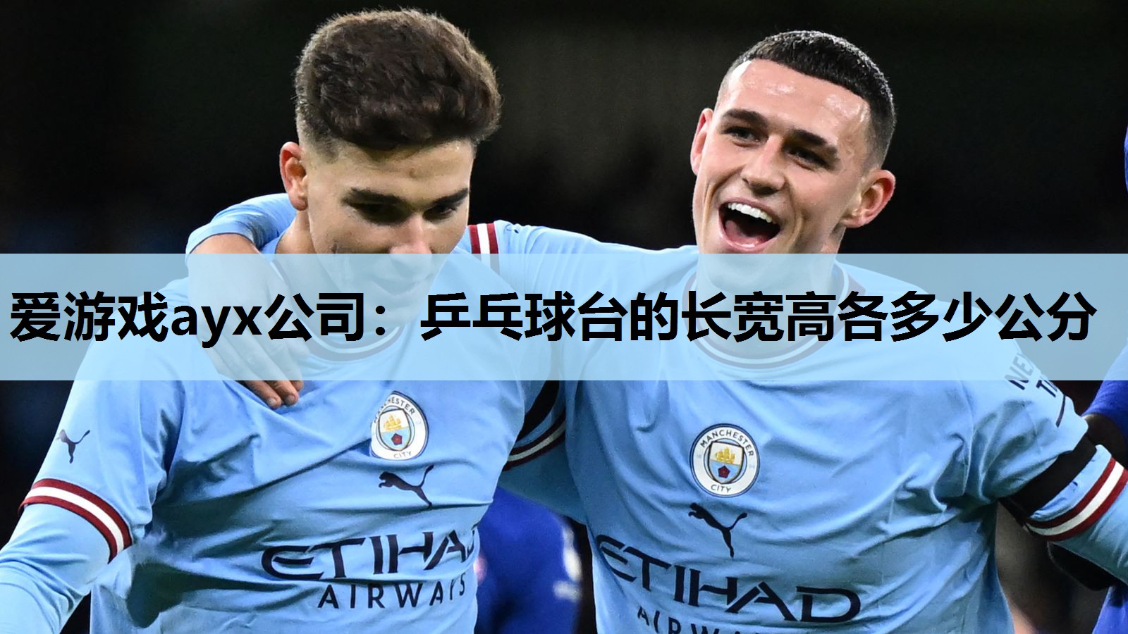 爱游戏ayx公司：乒乓球台的长宽高各多少公分