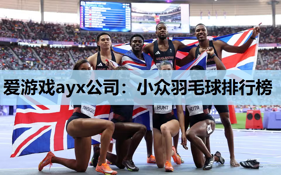 爱游戏ayx公司：小众羽毛球排行榜
