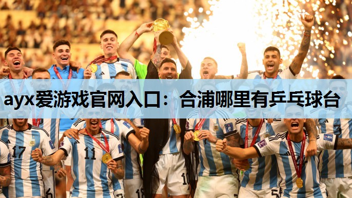 合浦哪里有乒乓球台 合浦哪里有乒乓球台