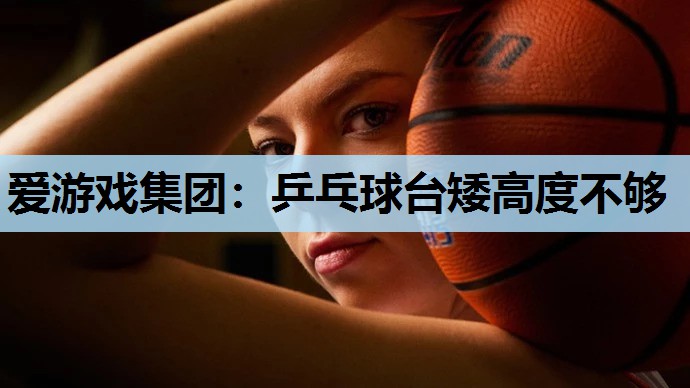 乒乓球台矮高度不够 乒乓球台矮高度不够