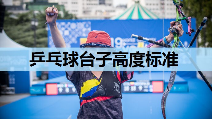 乒乓球台子高度标准 乒乓球台子高度标准