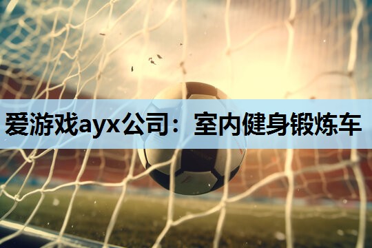 室内健身锻炼车 室内健身锻炼车