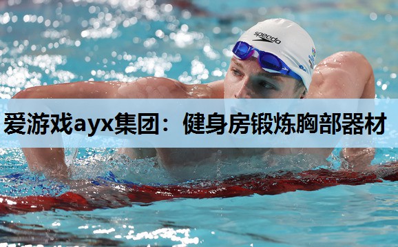健身房锻炼胸部器材 健身房锻炼胸部器材