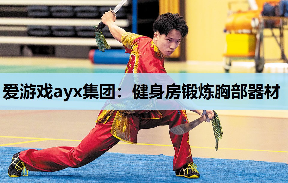 健身房锻炼胸部器材 健身房锻炼胸部器材