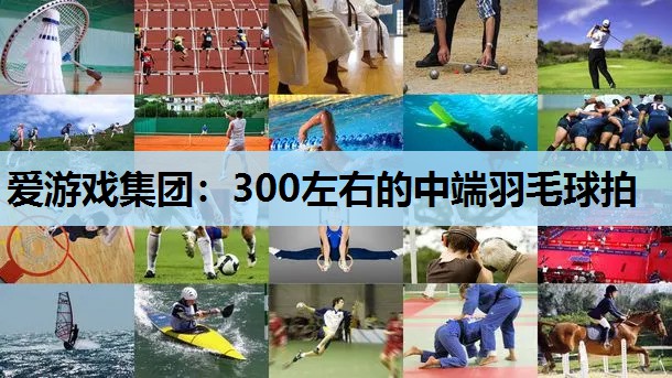 300左右的中端羽毛球拍 300左右的中端羽毛球拍
