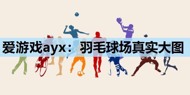 羽毛球场真实大图 羽毛球场真实大图