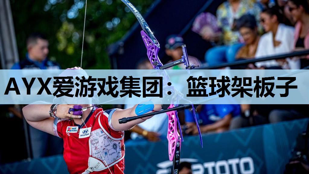 篮球架板子 篮球架板子