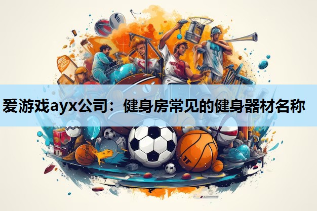 健身房常见的健身器材名称 健身房常见的健身器材名称