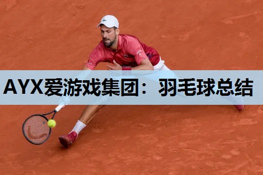 羽毛球总结 羽毛球总结