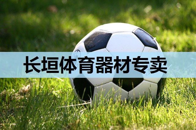 长垣体育器材专卖 长垣体育器材专卖