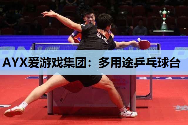 多用途乒乓球台 多用途乒乓球台
