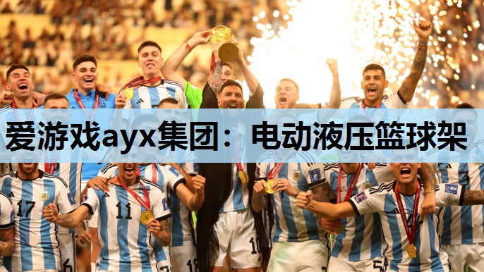 电动液压篮球架 电动液压篮球架