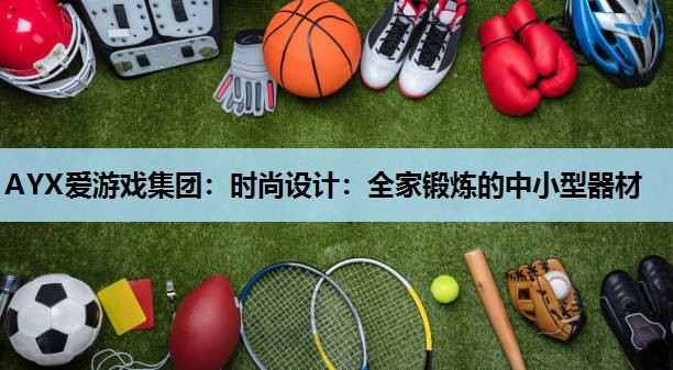 时尚设计:全家锻炼的中小型器材 时尚设计:全家锻炼的中小型器材