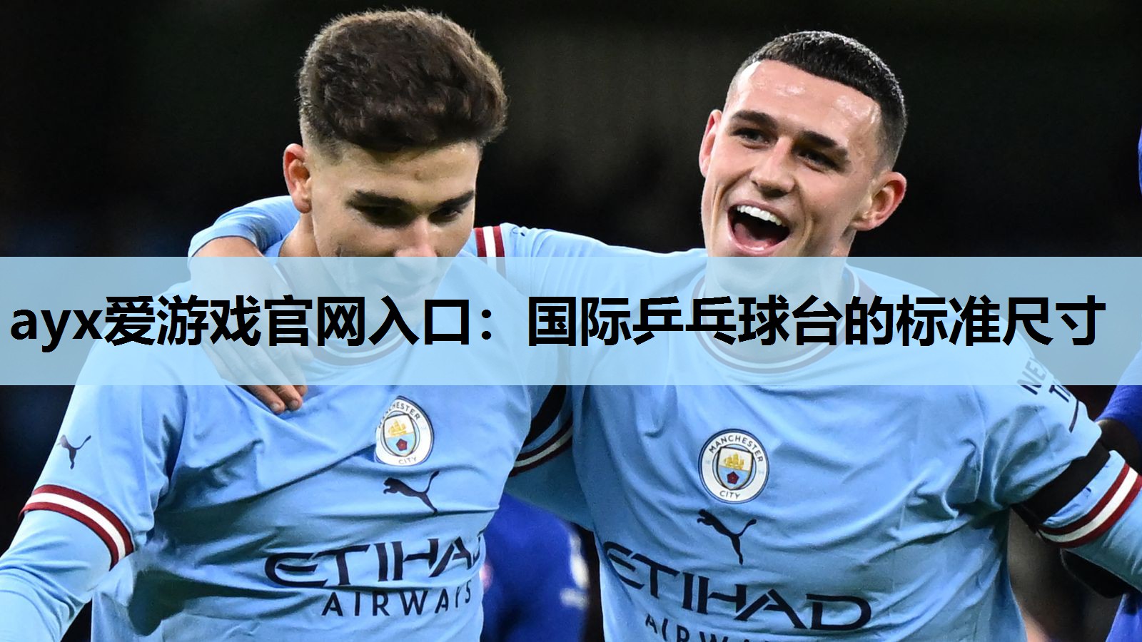国际乒乓球台的标准尺寸 国际乒乓球台的标准尺寸