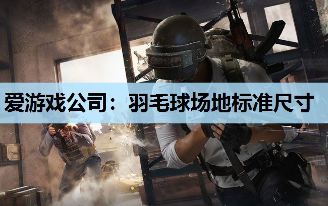 羽毛球场地标准尺寸 羽毛球场地标准尺寸