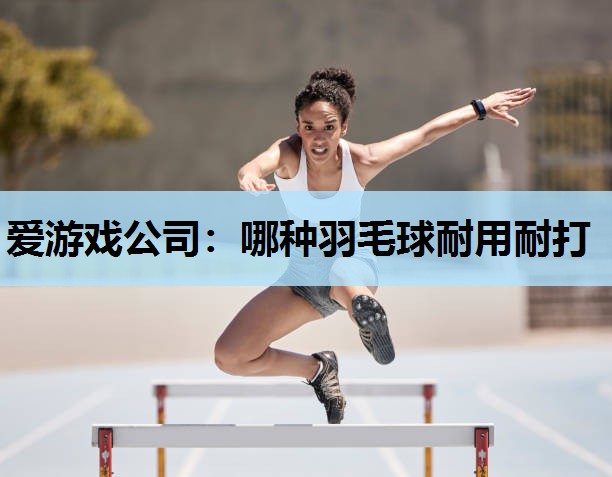 哪种羽毛球耐用耐打 哪种羽毛球耐用耐打