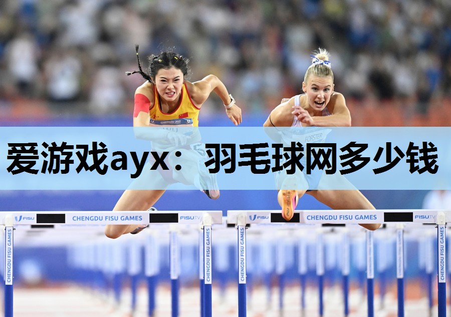 羽毛球网多少钱 羽毛球网多少钱