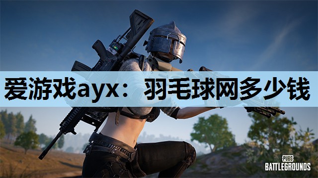 羽毛球网多少钱 羽毛球网多少钱