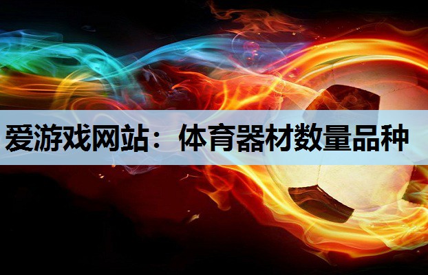 体育器材数量品种 体育器材数量品种